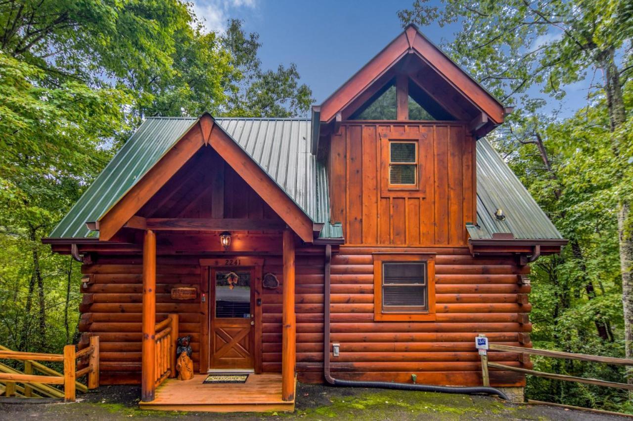 Beary Cozy Cabin Севьервилл Экстерьер фото